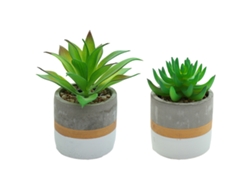 Mini suculentas simuladas en maceta, adornos creativos de moda, plantas artificiales, 2 uds. NEVEANCE