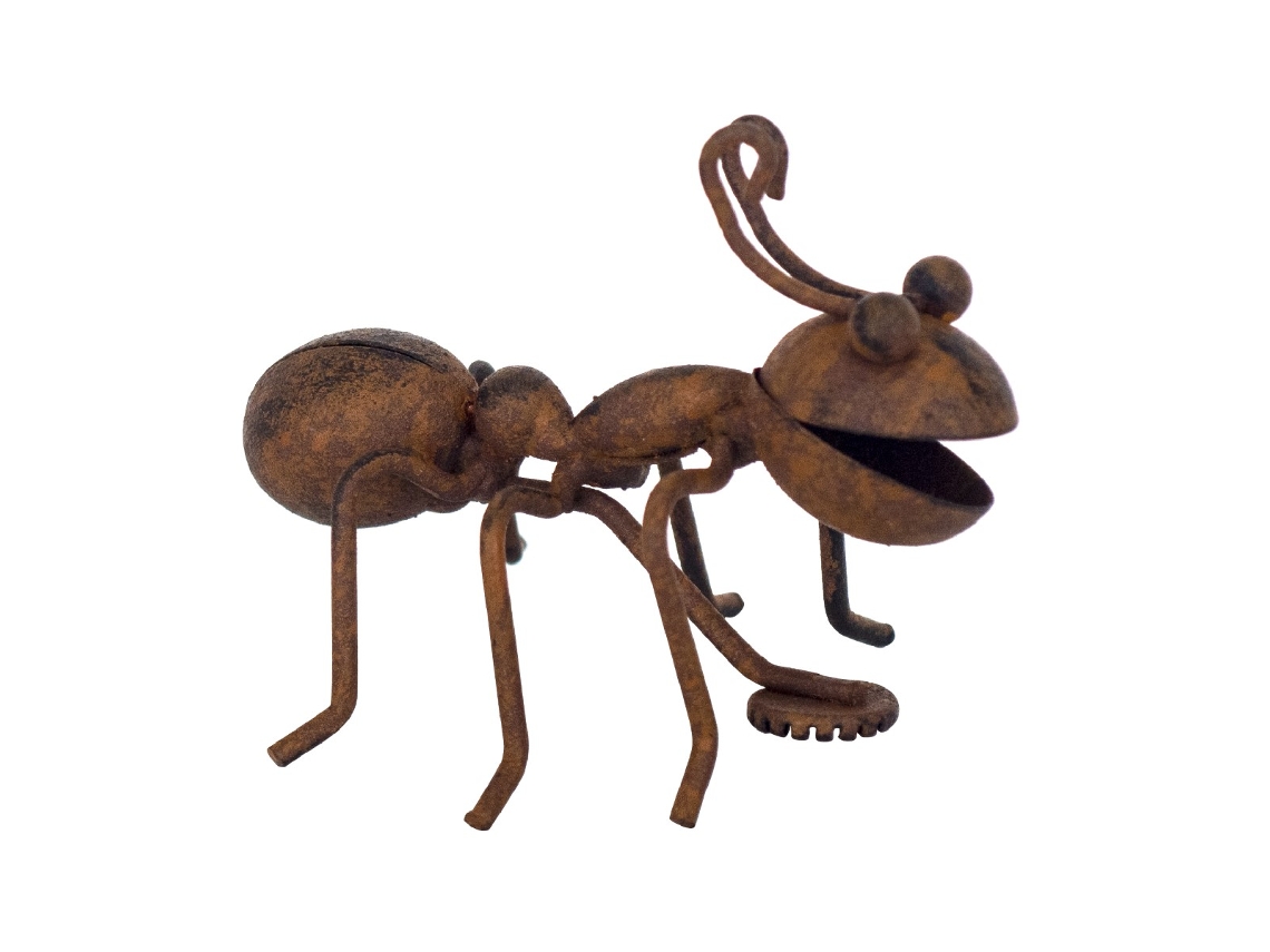 Hormiga Magnética De Metal Decorativa Regalo Magnéticos Colección Tropical Signes Grimalt Decor And Go