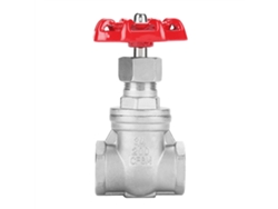 Válvula De Compuerta De Acero Inoxidable Dn20 Bspp G3/4 Para Agua Aceite Gas