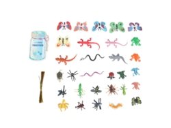 Tarjetas de San Valentín decoradas con insectos - Worten
