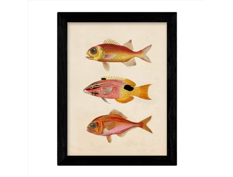 Set De 4 Láminas De Peces Coloridos Efecto Vintage. Composicion De 12 Peces Diferentes, Fondo Papel Antiguo Vintage. Sin Marco