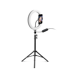 Ring Light / Aros de Luz