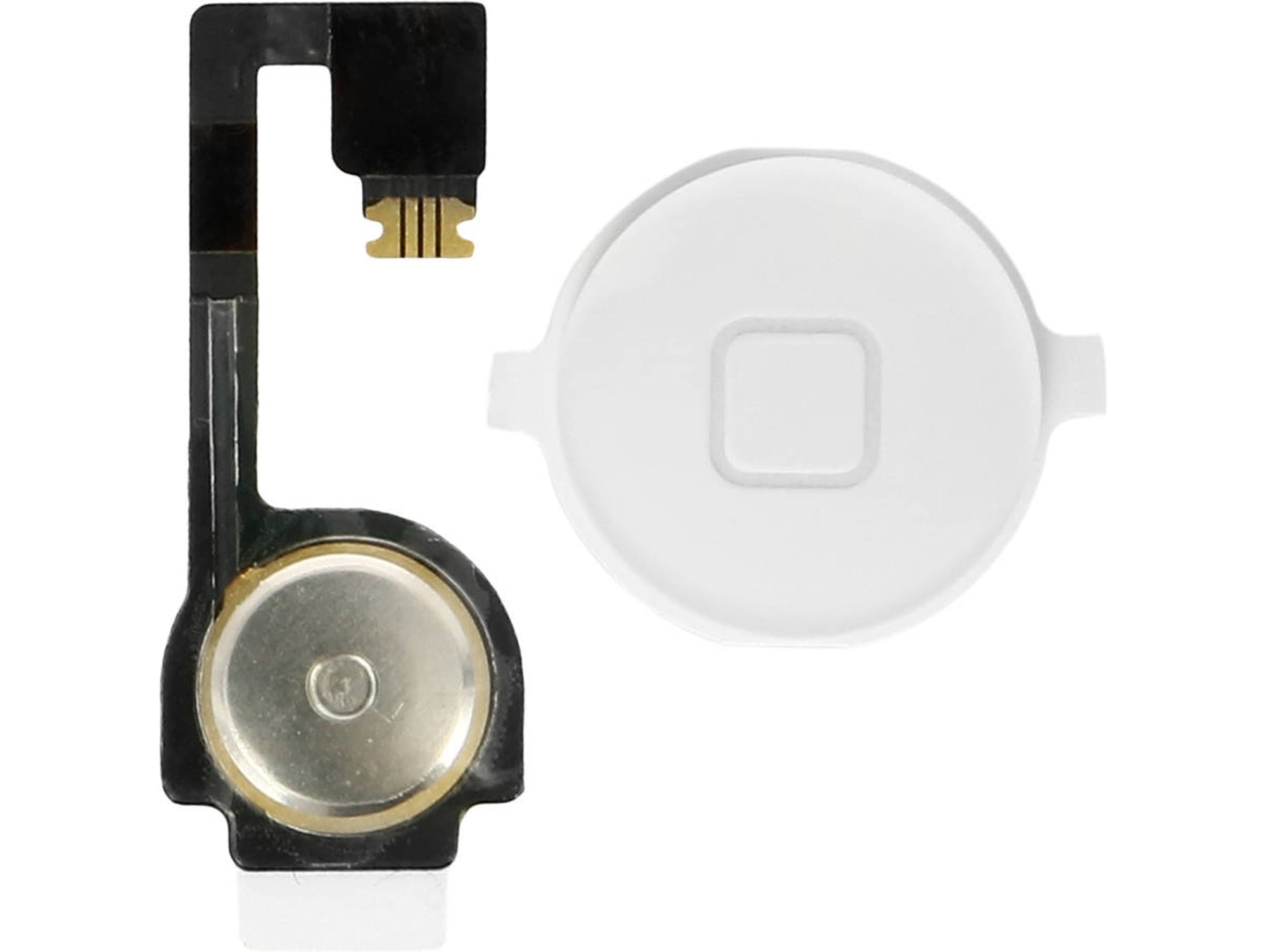 Botón HOME de inicio iPhone 4 con su conexión Blanco