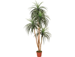Planta Artificial CATRAL Nolina (25 x 20 x 205 cm)