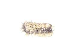 Guirnalda Fija De 20 Leds (2,2m) 2700k 2xaa Ip20