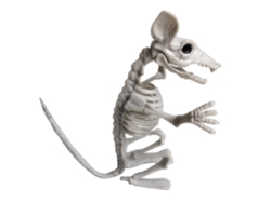 Ats-esqueleto De Animal Para Halloween Decoración De Fiesta Horror Simulación Huesos Esqueleto De Halloween