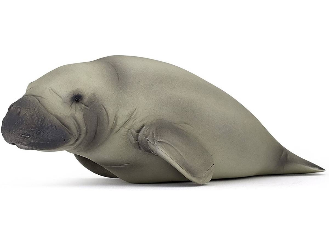 Figura PAPO Manati