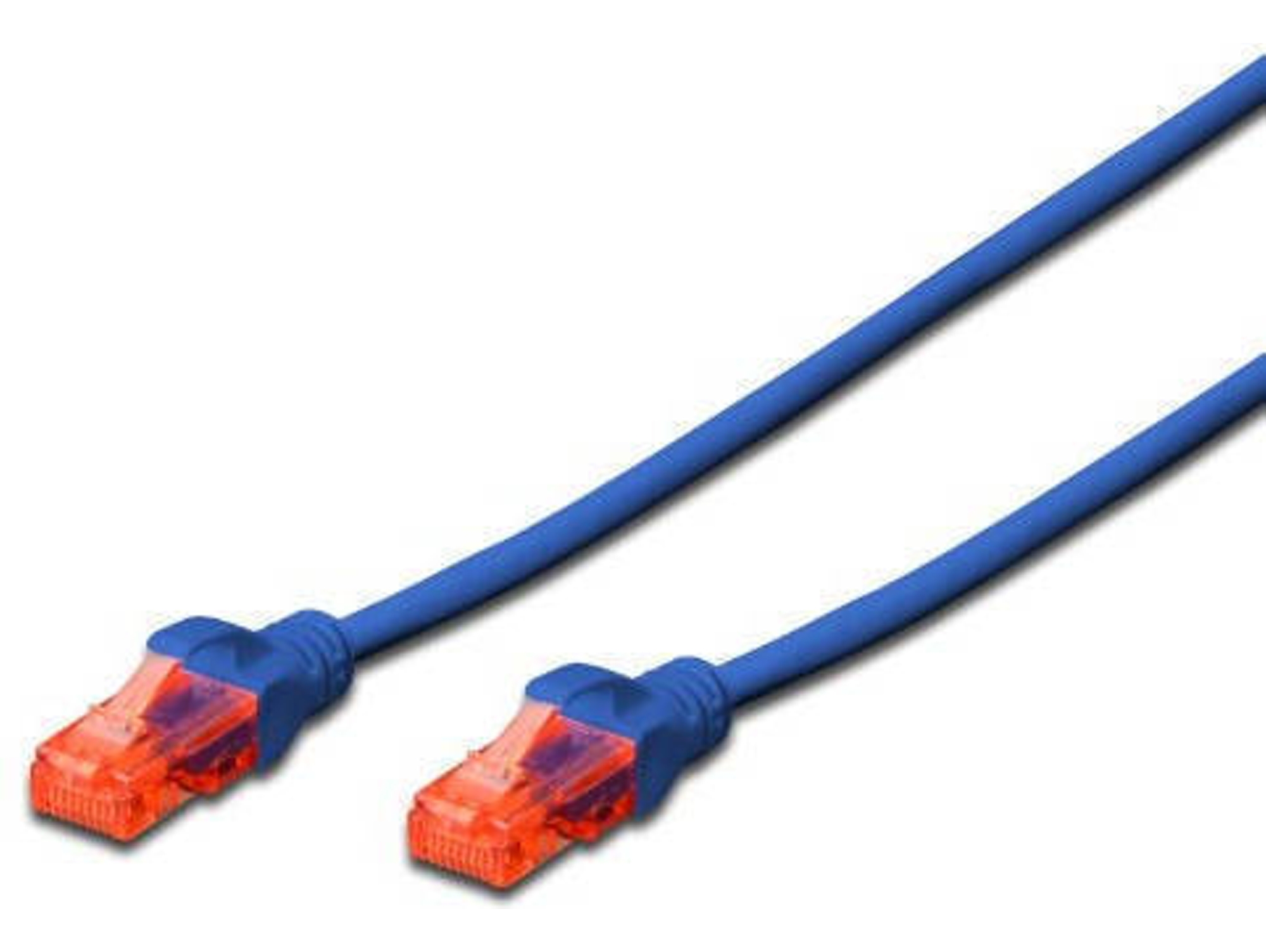 Cable de Red EWENT (RJ45 - 2 m - Azul)