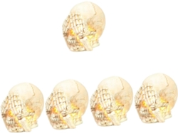 Juego De 5 Sombreros De Mago De Halloween Con Forma De Calaveras Luminosas, Cámara Digital Y Casco.