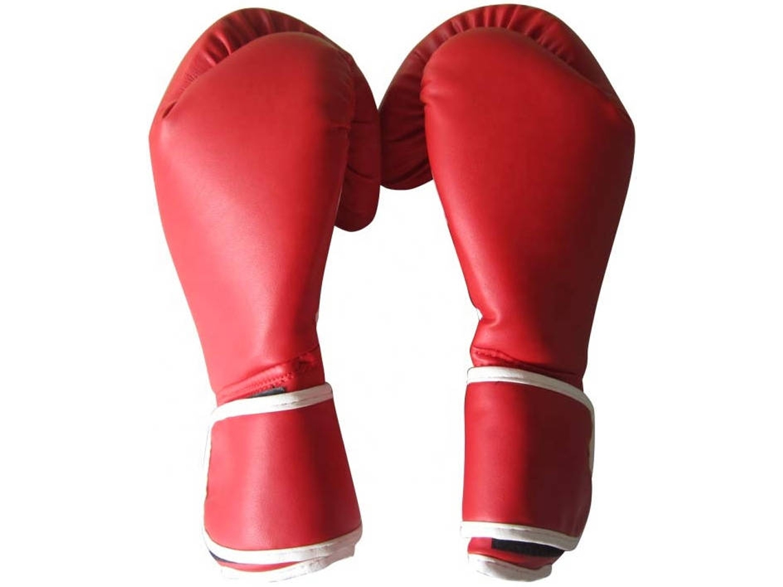Guantes de Boxeo VIOK PRO