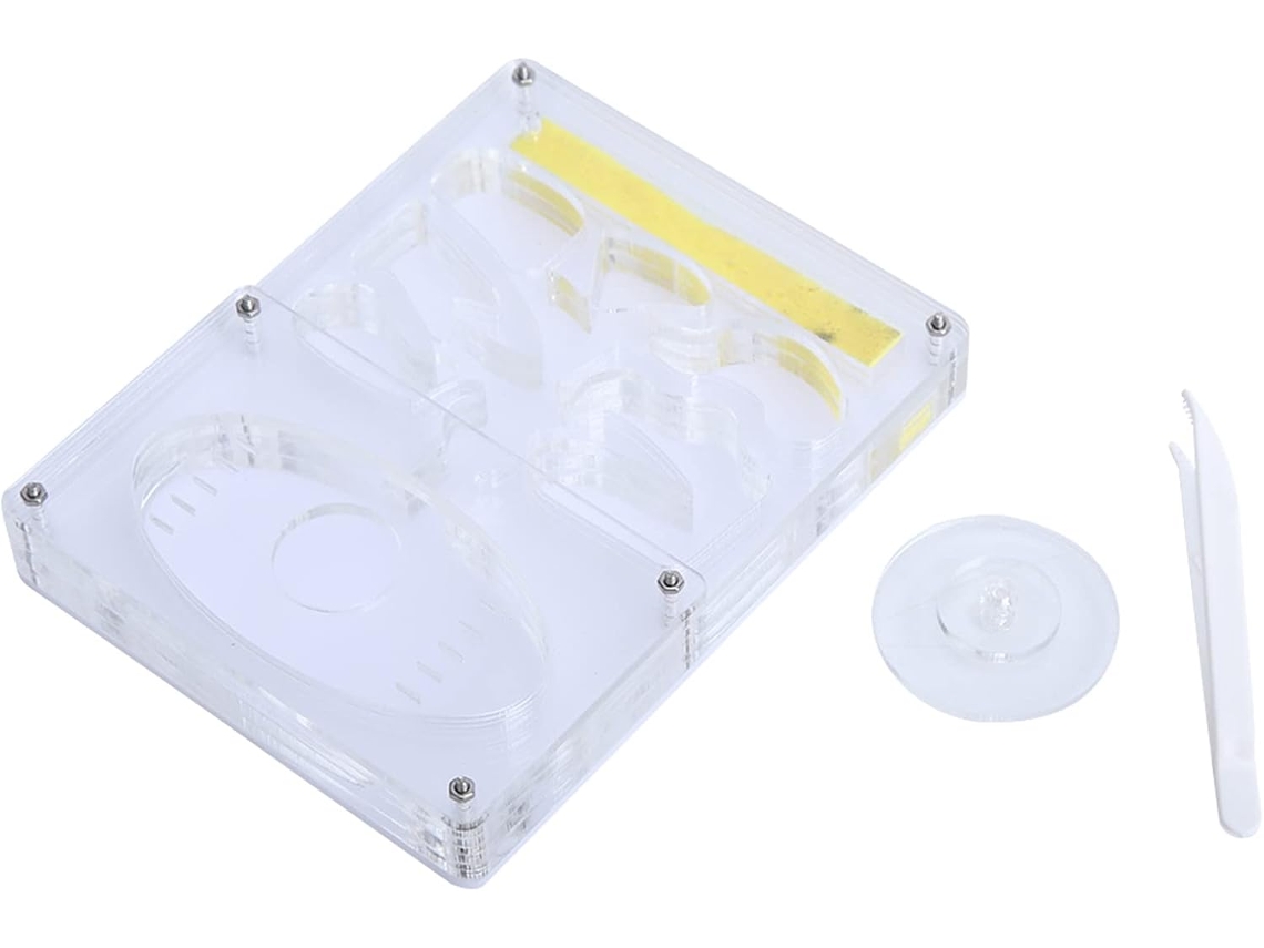 Caja De Alimentación Para Nido Hormigas Acrílico Transparente 3d Incubadoras
