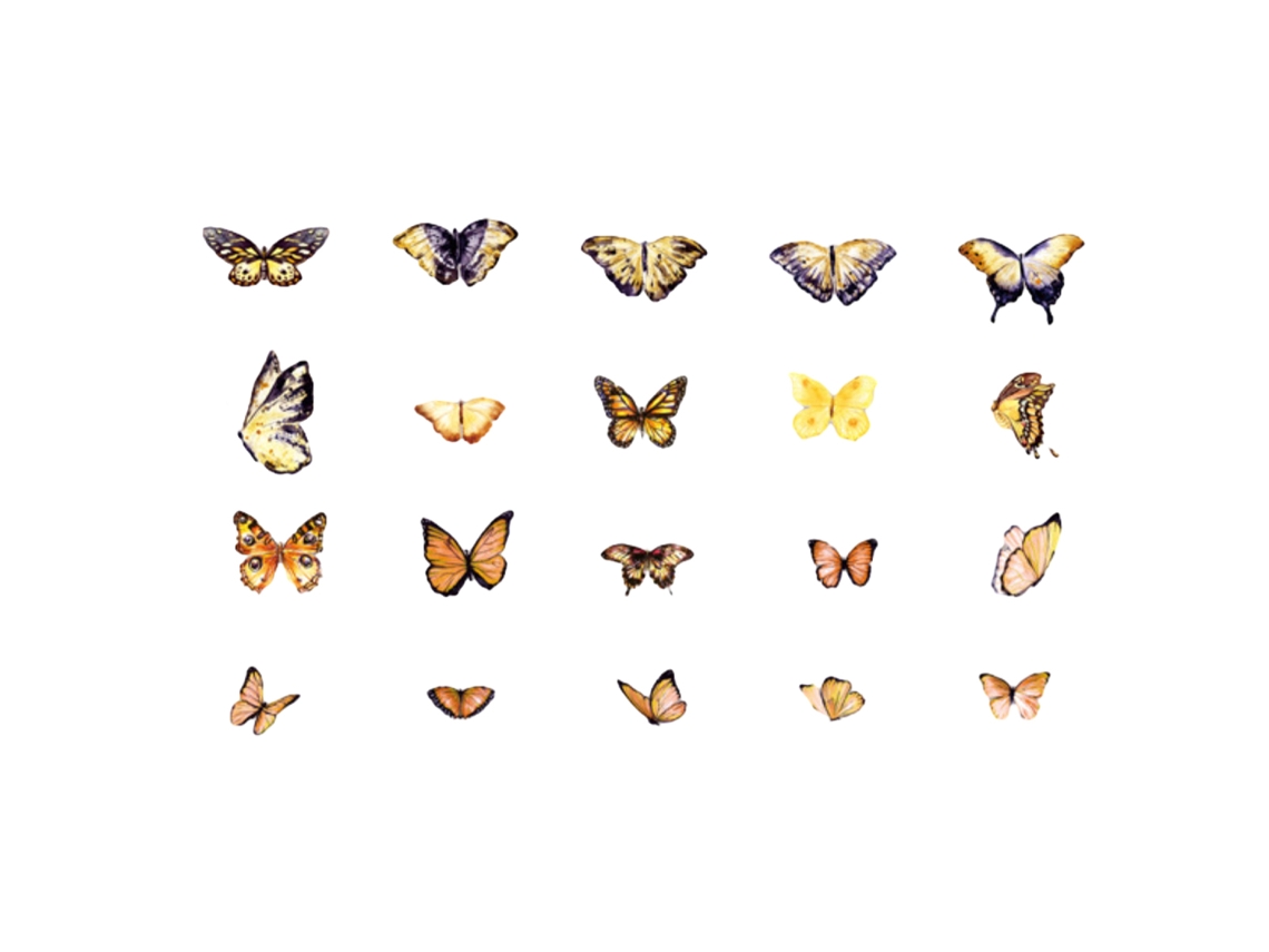 6 paquetes de pegatinas de mariposas, tema primaveral para niños NEVEANCE