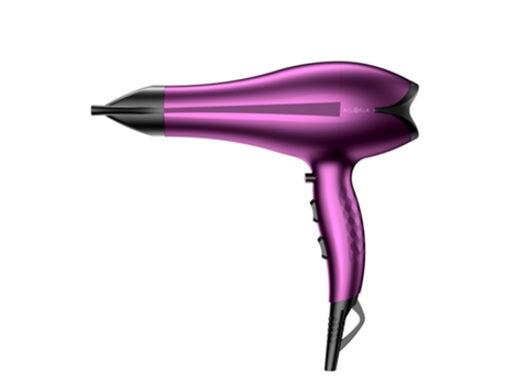 Secador de Pelo AILORIA Ac 2400 W
