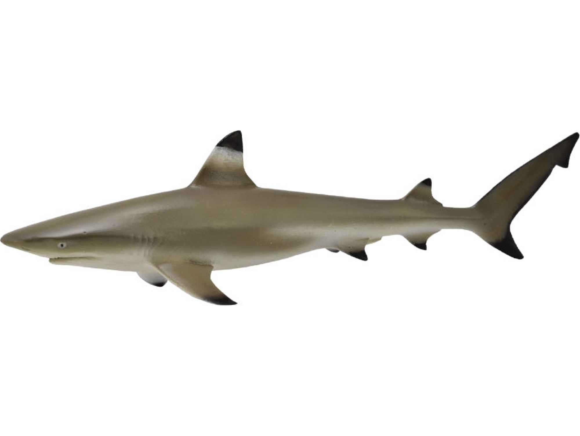 Figura COLLECTA Tiburón Punta Negra