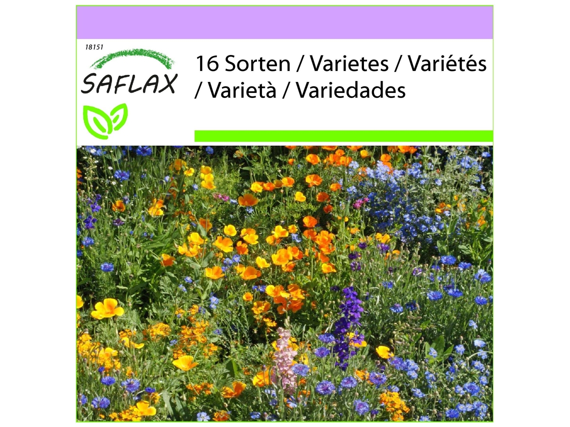 SAFLAX Pradera de montaña 1000 semillas Mix