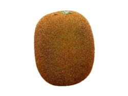 Modelo de fruta artificial de espuma, imitación para decoración, accesorio educativo para jardín de infancia, kiwi