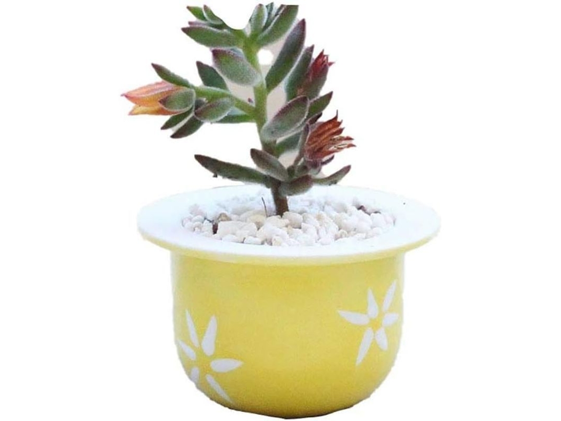 Macetas Miniatura Para Suculentas - Modernas - Cactus - Decoración De Interiores - Amarillas - Cerámica