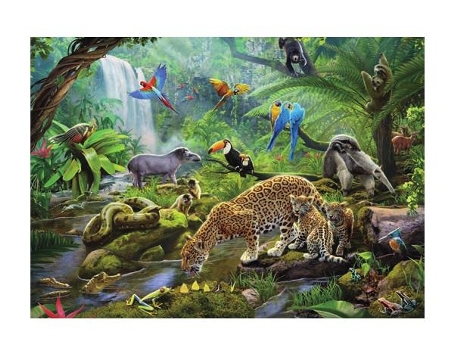 Puzzle RAVENSBURGER Rainforest Animals rompecabezas 60 pieza(s) Animales