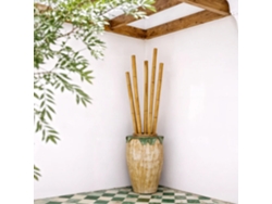 Bambu Decorativo NORTENE Tutor (85mmx2,4M )