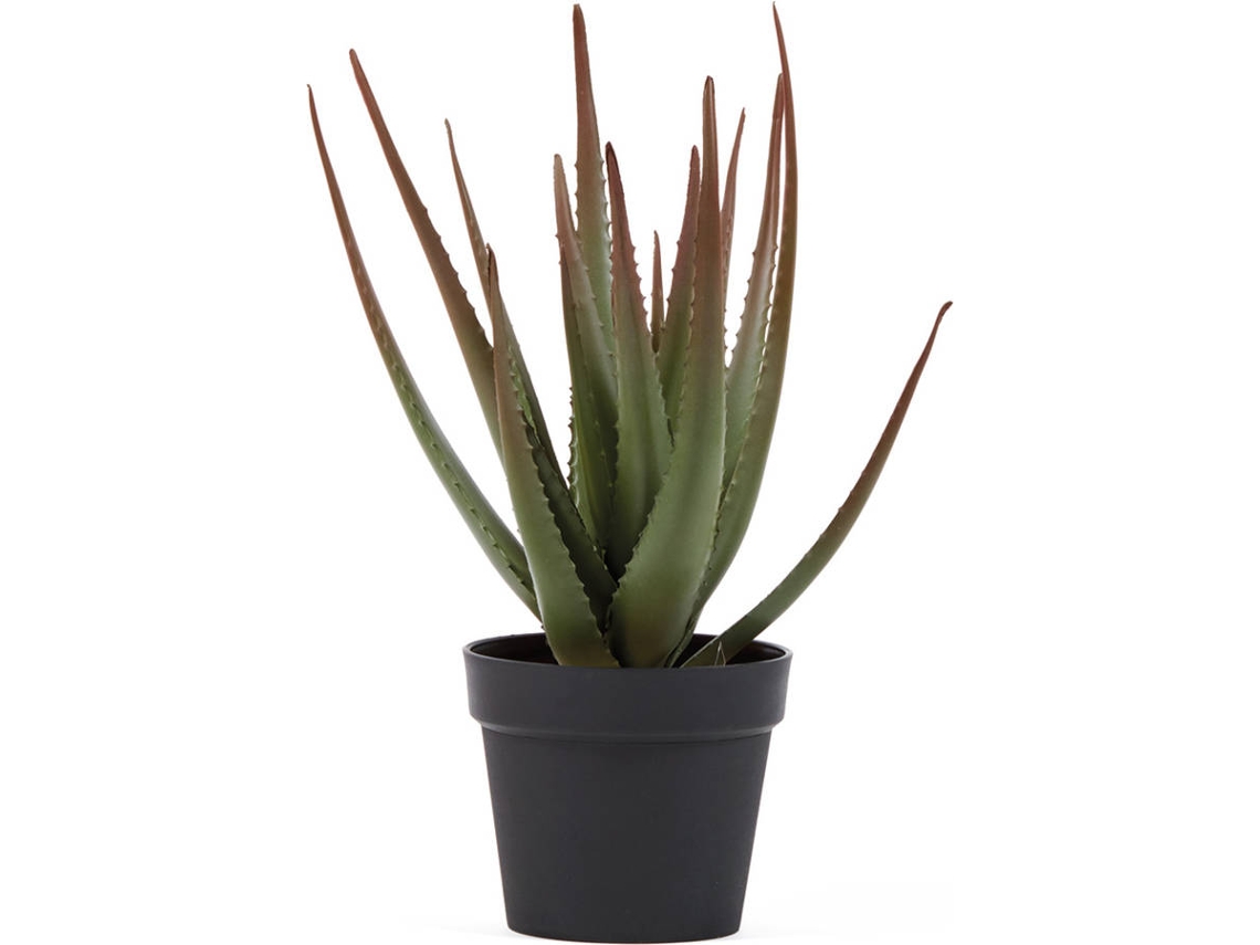 Planta Artificial CATRAL Cactus Aloe (30 x 30 x 84 cm)