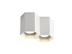 2 focos blancos Lámpara de techo de superficie Gu10 Foco de superficie Lámpara de superficie moderna NETTLIFE