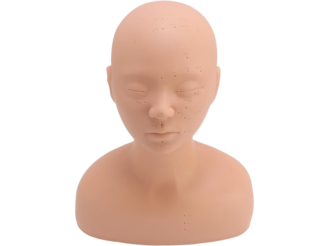 Cabeza De Maniquí De Entrenamiento De Pvc Para Práctica De Puntos De Acupuntura - Exhibición En Salón