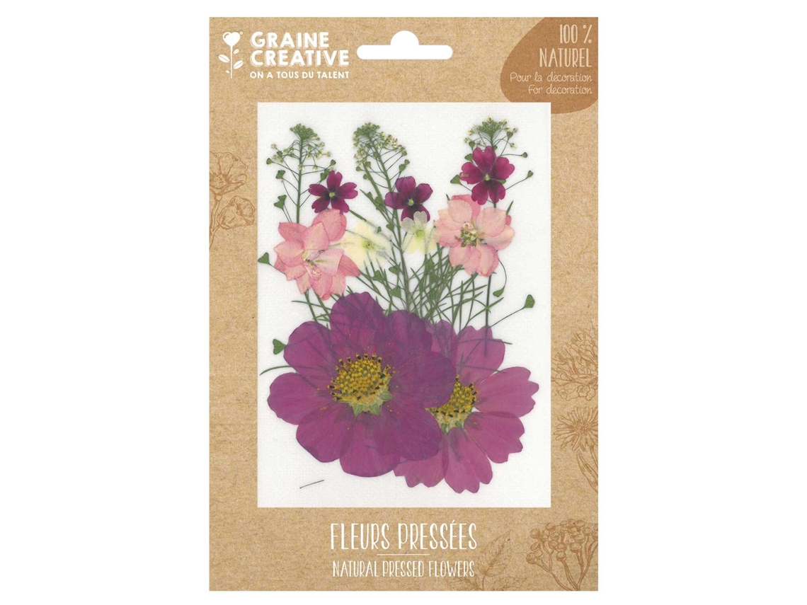14 flores prensadas - prado púrpura
