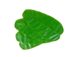 Mantel De Comida De Hoja De Plátano Con 10 Piezas, Escala, Decoración De Plantas, Mantel De Comida Para Vaso, Tazón, Comida Webake