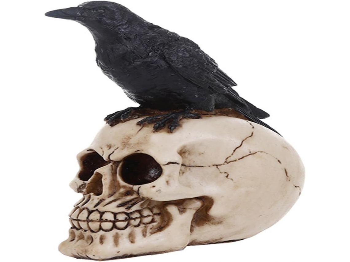 Estatua de resina ornamental para decoración del hogar, estatua gótica de cuervo sobre calavera de resina fundida en frío pintada a mano, figura de pá EIOORORRIY
