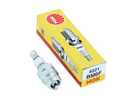 Bujías de moto NGK Bm6F (6221)