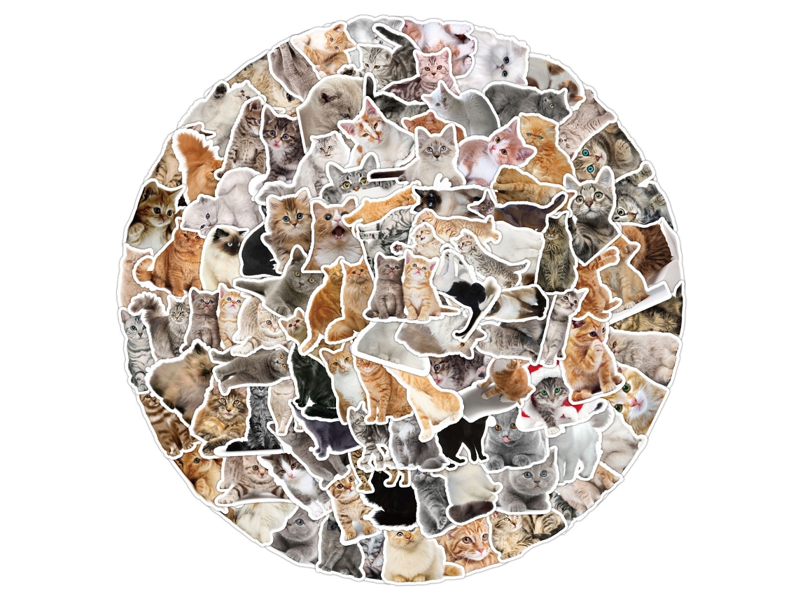 Paquete de 50 pegatinas de memes para botellas, portátiles, celulares, guitarras, computadoras, mochilas, bicicletas y gatos. Pegatinas estéticas de vinilo impermeables.