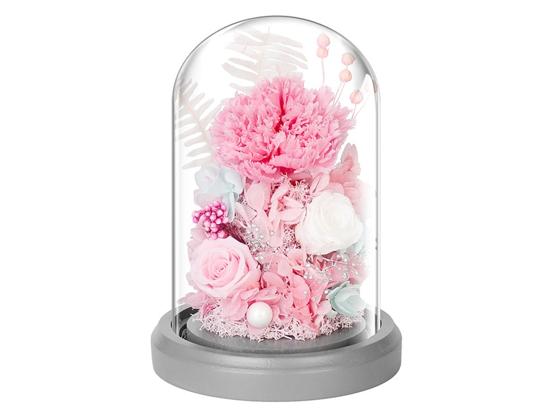 Decoración de clavel eterno con flores secas en cúpula de cristal con base iluminada, regalo de fiesta de cumpleaños JEIIBRZUI