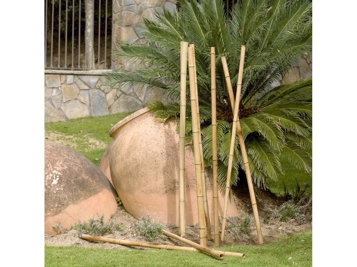 Tutor de Bambú Decorativo 60-70 mm 2,4 m Nortene