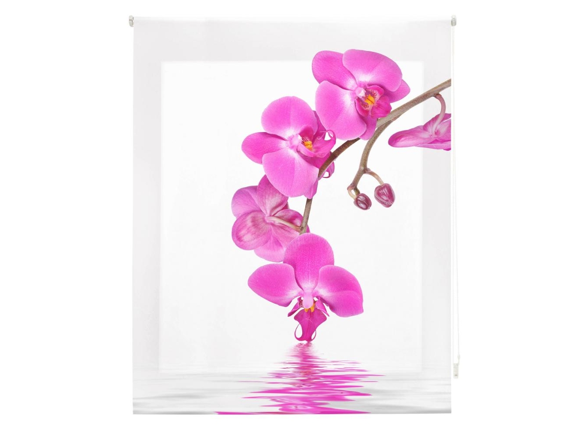 Estor Enrollable HAPPYSTOR Estampado Digital Zen HSCZ39344 200x250 cm