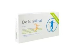 Complemento Alimentar MARGAN Defenvital 20 Viales (Frutas Del Bosque, Jengibre)