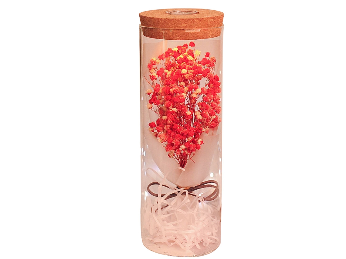 KOFIHETY Lámpara de Vidrio con Gypsophila paniculata Eterna Real, Mando a Distancia, Luz Nocturna LED, Regalo de Deseo