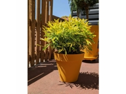 Maceta RIVIERA Amarillo Ø 60 cm