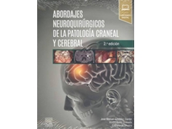 Libro Abordajes Neuroquirúrgicos De La Patología Craneal Y Cerebral de Quilis Quesada González Darder (Español)