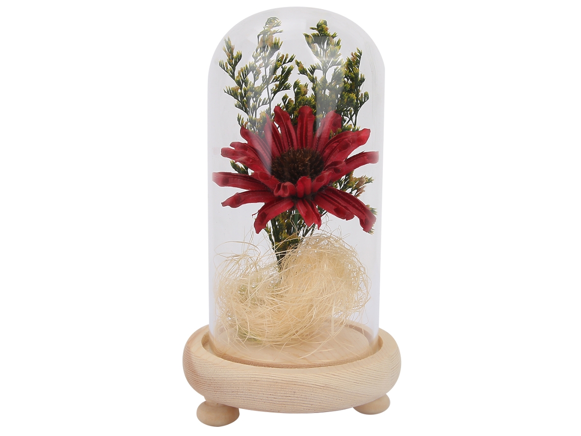 Flor preservada en manta de cristal, regalo para la decoración del hogar.
