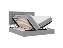 Maison Exclusive - Cama De Almacenamiento Led Con Colchón Gris Claro 200 X 200 Cm