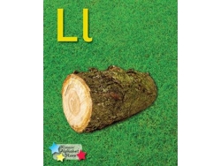 Libro Alpha Stars Ll de Stephen Rickard (Inglés)