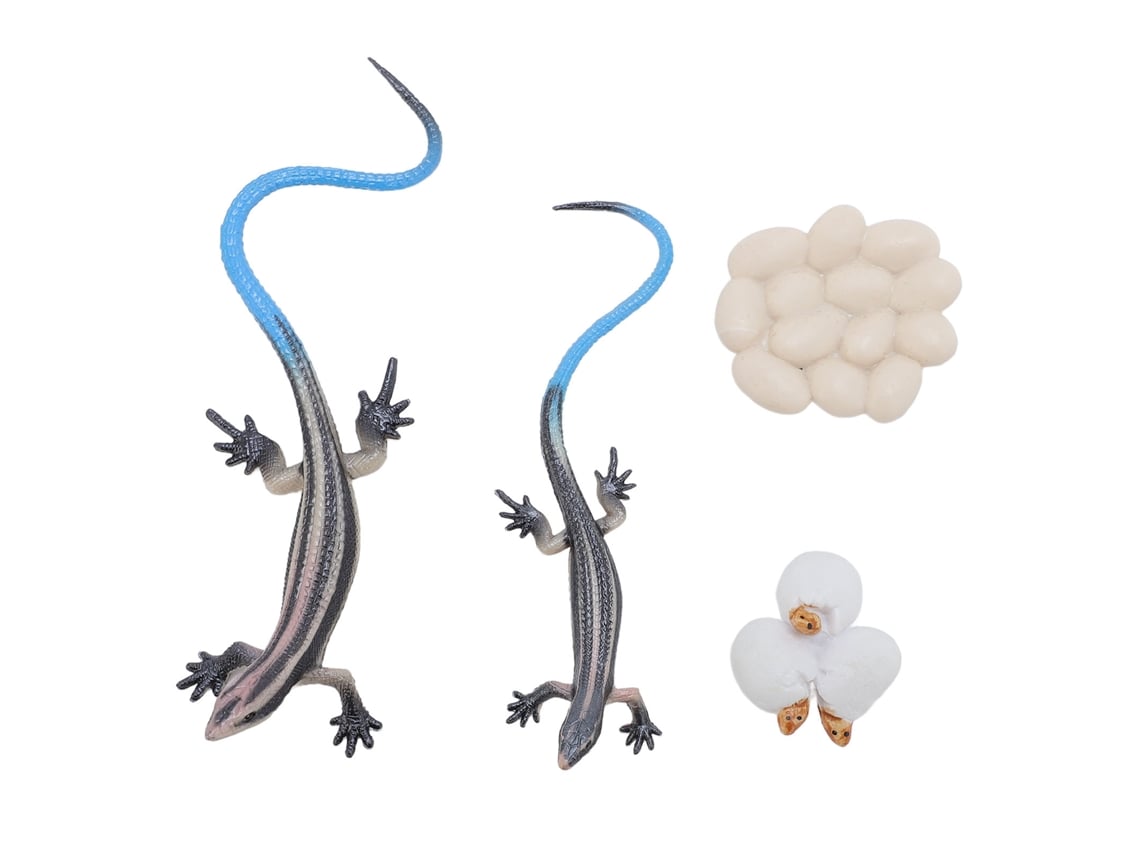 Modelo De Lagarto Lifelike Em Pvc Decorativo Educativo Brinquedo Réptil Para Decoração