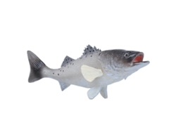 Modelo de simulação de peixe dragão Rebe-Sea, enfeites de mesa, brinquedo educativo para crianças (pll127-1133)