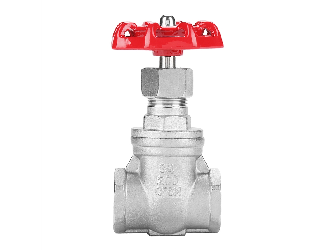 Válvula De Compuerta De Acero Inoxidable Dn20 Bspp G3/4 Para Agua Aceite Gas