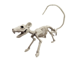 Ats-esqueleto De Animal Para Halloween Decoración De Fiesta Simulación De Horror Huesos Esquelético