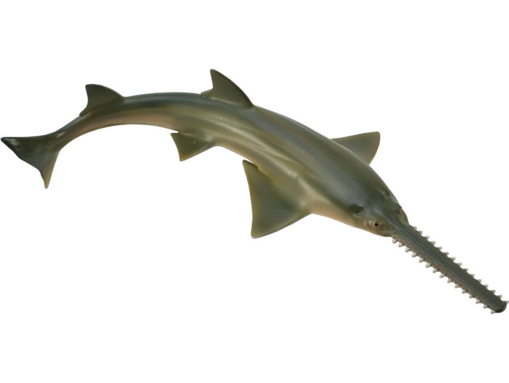 Figura COLLECTA Sawfish