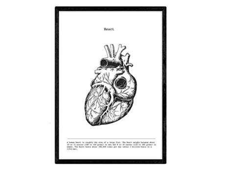 Láminas NACNIC Biología y Medicina Detalle de Corazón (A3)