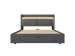 Cama Tapizada 160x200 - Con Almacenamiento Hidráulico, Cabecero Con Led Y Usb - Gris