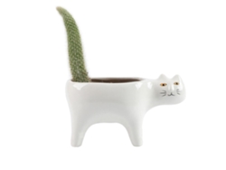 Jarrón decorativo de cerámica para suculentas y cactus pequeños