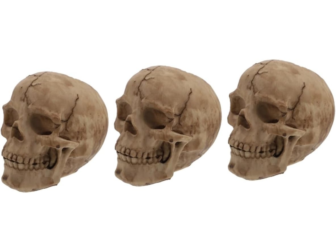 Juego De 3 Jarrones Con Forma De Calavera Para Decoración De Halloween, Jarrón Gótico Espeluznante, Planta Artificial.